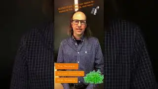 GLOBE Observer: Trees  - Snapchat Story