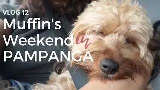 Muffin's Weekend in Pampanga Vlog 12 Itsapplesworld