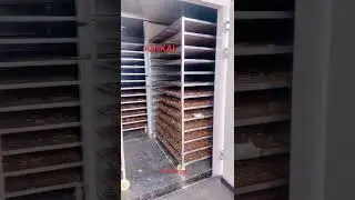 Seed Dryer Machine Coffee Bean Drying Equipment #dryermachine #dryingmachine #dryer