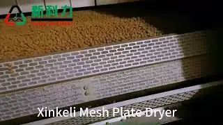 Xinkeli Mesh Plate Feed Dryer Drying Making Processing Machine