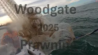 Woodgate prawning 2025