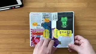 Junk Journal 🎉Flip | 🗑 trash ephemera | Garbage sLapbook ! gluebook