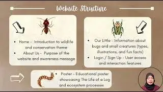 PRESENTATION WEB DESIGN ( BBU20403 DIGITAL GRAPHIC DESIGN )