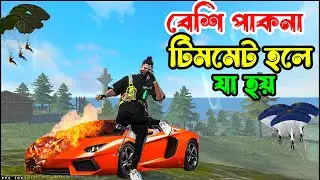 বেশি পাকনা  টিমমেট নিয়ে গেম খেলতে গিয়ে যা হলো🤣