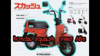 honda squash  1985 AB11