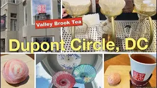 🇺🇸DC《DuPont Circle🇨🇳🌸🍀🍵Valley Brook Tea》