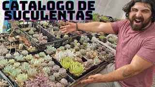 Cat&aacute;logo de SUCULENTAS y CACTUS con nombres! (Venta)