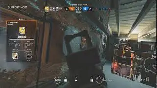 Crows lag