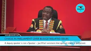 A deputy speaker is not a Speaker &ndash; Joe Wise' comment that sparked chaos in parliament