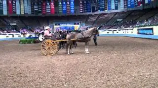 Carriage Obstacle Presentations