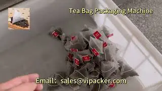 Biodegradable Triangle Pyramid Tea Bag Packaging Machine for Gynostemma Pentaphyllum Tea