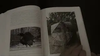 Book Flip through Wildlife Photography by Jack Ballard