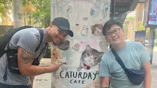 How we spent our Caturday