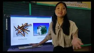 My Teaching Demonstration for DEPED Ranking 2021