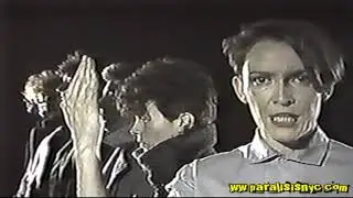 040-NOVEMBER GROUP - Pictures Of The Homeland (1982)