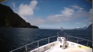 Orca Excites Trolling Helm Persons