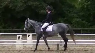 Mathilde et L'estivade, Dressage concours Andilly 06 10 13