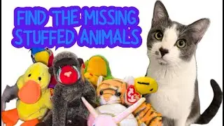 Stuffed Animals Missing! Can You Help Find Them?
