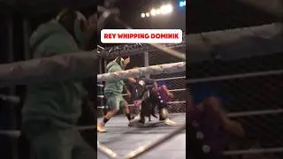 Rey Mysterio Whipped Dominik at WWE Live Event😅