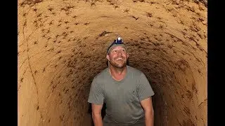 THOUSANDS OF CRICKETS IN TUNNEL VLOG! | Tim Faulkner