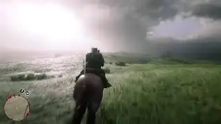 RED DEAD REDEMPTION gameplay in ps4