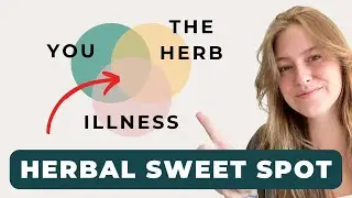 The BEST Herbs For Your Body Type | Herbalism 101 Part 4