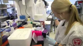 Temple Honors Smart Story: Kate Sydnes