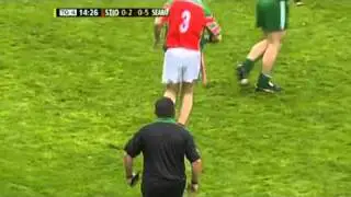 Ballyhale Shamrocks v James Stephens 2011 2/6