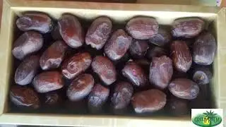 High quality Iranian Kalute (kalooteh) date for export