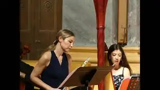 Mozart (1756 - 1791)Concerto per flauto ed arpa in do maggiore, - Allegro (do maggiore)