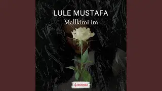 Mallkimi im