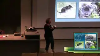 Where Shrews Walk on Water and Other Endangered Species Tales