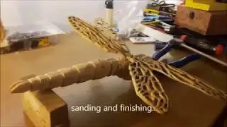DRAGONFLY