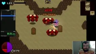 Bit dungeon 2 Speedrun 21:20