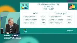 National Accounts Annual 2024 and Q1 2025 - Macroeconomic Briefing
