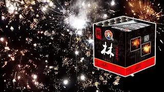 Forest von Panda | 13&euro; Feuerwerk Batterie | Testvideo Pyroweb Testschie&szlig;en 2024/25
