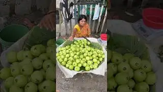 Hardworking Kolkata Lady Sells Green Guava 15Rs/- Only #shortvideo