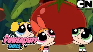 Desafios inesperados com as meninas | As Meninas Superpoderosas | Cartoon Network 🇧🇷