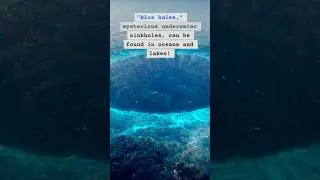 &laquo;Голубые дыры&raquo; &mdash; загадочные подводные карстовые провалы &mdash; можно обнаружить в океанах и озерах.