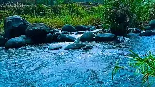 Peaceful River Sounds for Deep Sleep, Stress Relief & Natural Mind Relaxation #14
