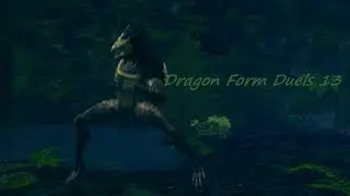 Dark Souls Remastered Dragon Form Duels 13