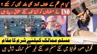 Global Sumud Flotilla, Role of UNO , Help for Hungry and homeless people