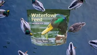 Waterfowl Feed - Duck Food