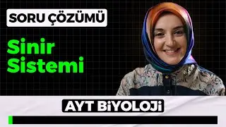 Nervous System Question and Answer Solution | YKS 2026 AYT Biology