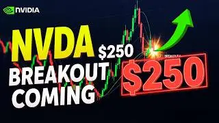 Экстренная ситуация в воскресенье вечером: почему акции NVDA готовы к прорыву на отметку в 250 до...