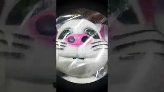 Talking Tom | Inteligent Tom Cat Satisfying with Unboxing & Review Talking Tom Toy ASMR(no music)