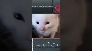 hi herbert sing happy birthday #catsoftiktok #catmusic #happybirthday