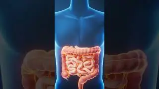 Probiotic Facts #health #probiotics #gut #nutrition #wellness
