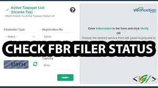 Как проверить статус подачи FBR (активен или нет) | Простая проверка статуса подачи на основе CNIC