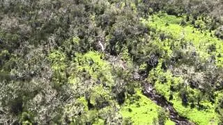 Ohana Sanctuary
